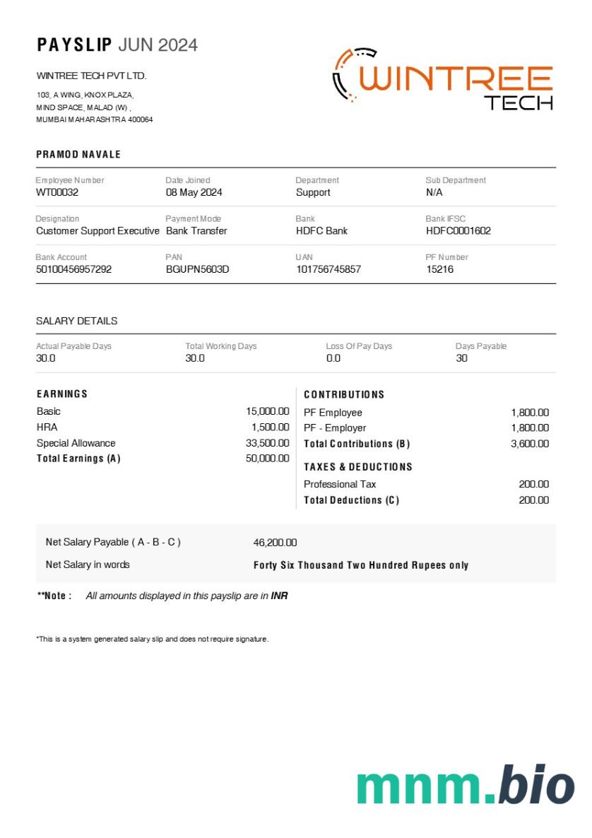 Szablon odcinka wypłaty Wintree Tech w formatach Word i PDF